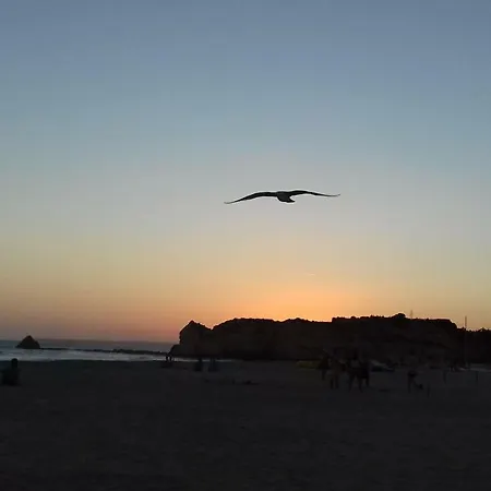 Lejlighed Beautiful Clube Praia Da Rocha *